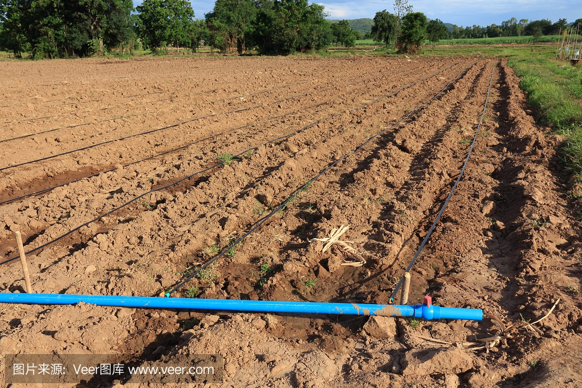 甘蔗农场丰富的灌溉系统。