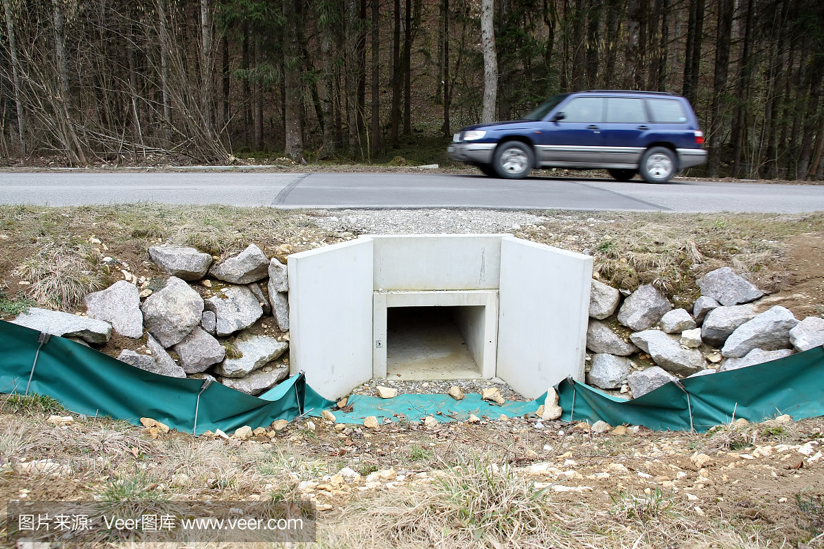 青蛙保护产卵迁移项目
