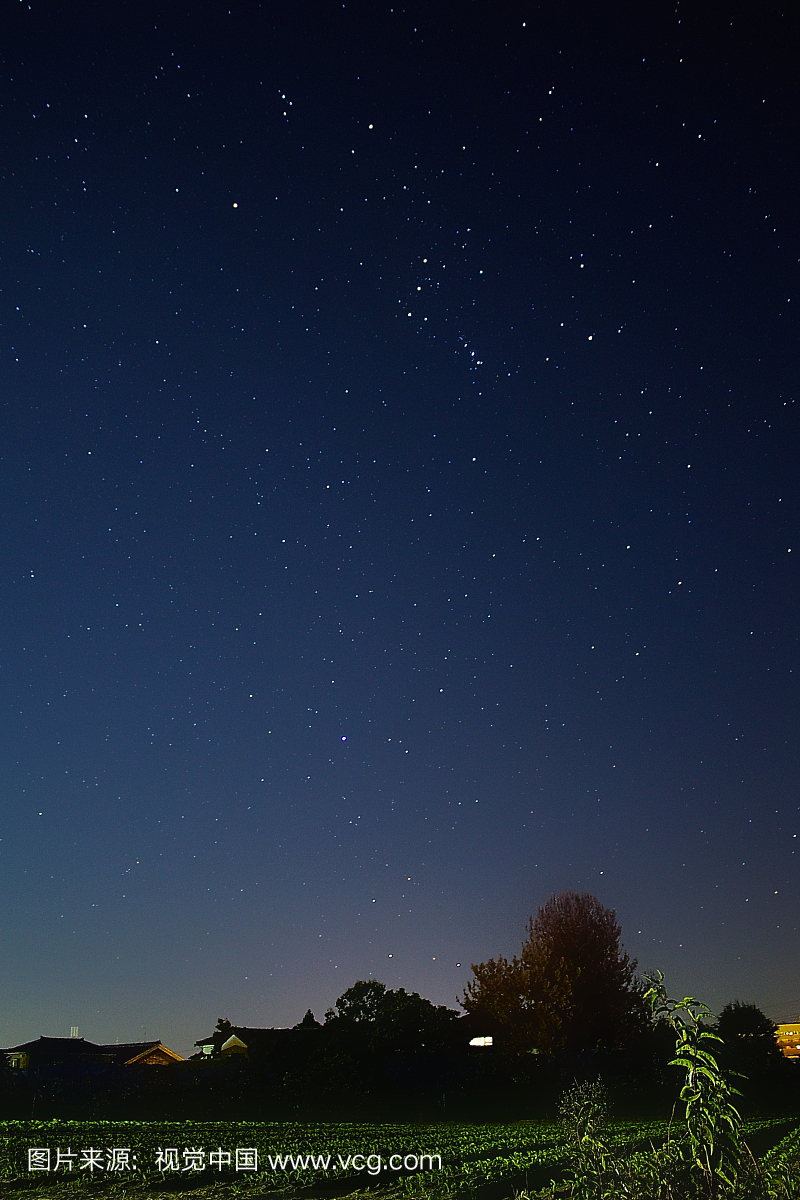 宁静,风景,新泻县,户外