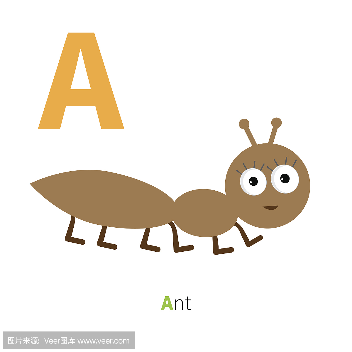 信蚂蚁昆虫动物园字母表。英语abc与动物教育
