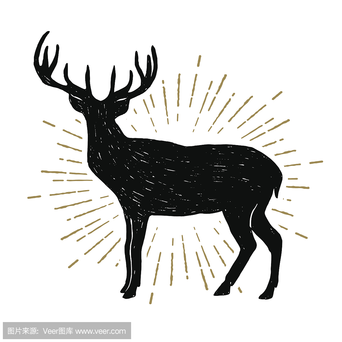 手绘葡萄酒图标与纹理的鹿矢量图