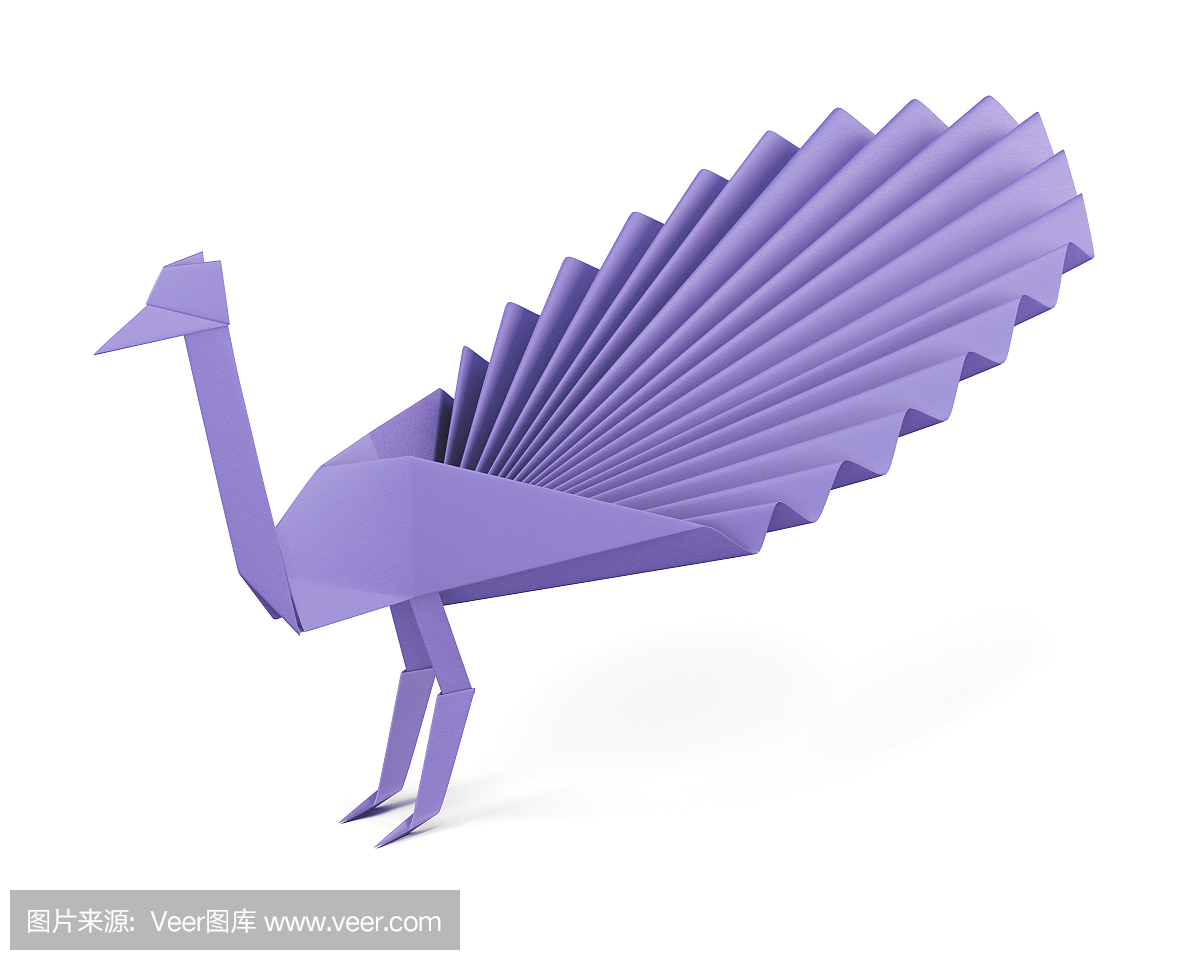 孔雀,印度孔雀,蓝孔雀,孔雀开屏