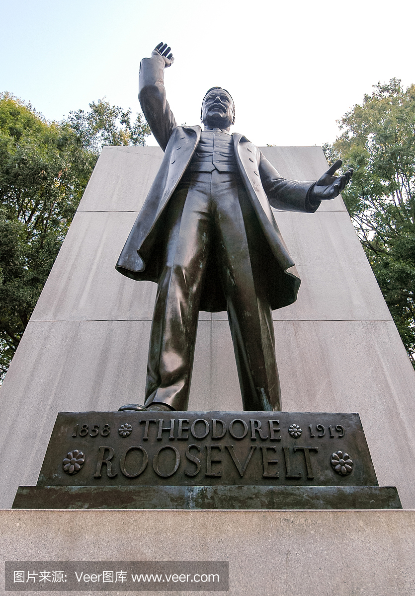 西奥多·罗斯福总统,老罗斯福总统,系尔多·罗