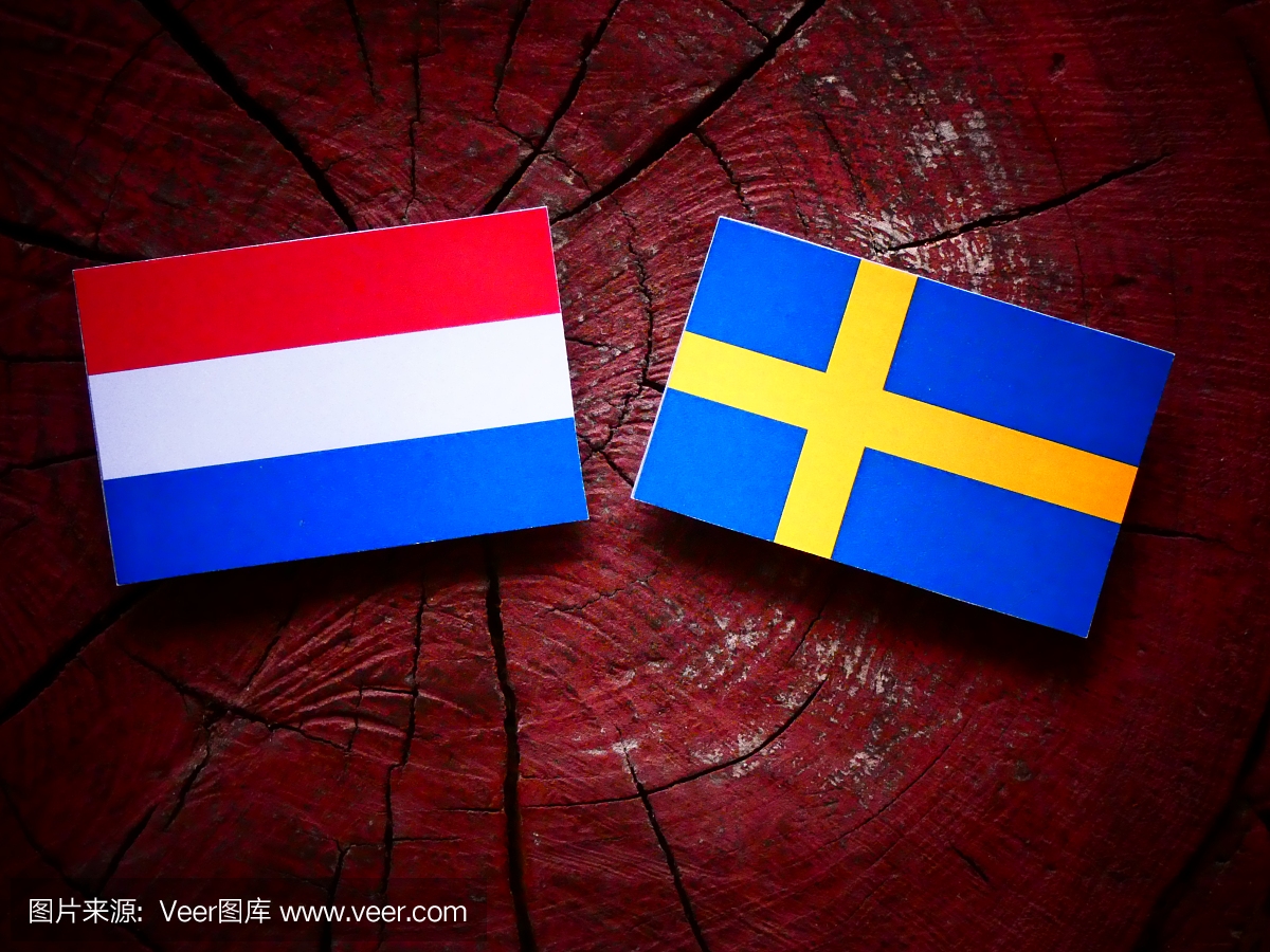 荷兰国旗与瑞典国旗孤立树树桩