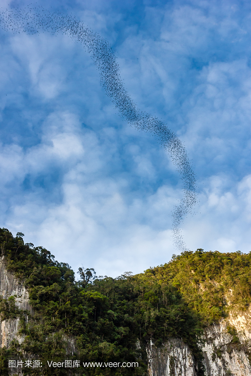 鹿洞,世界最大的洞穴,砂劳越州,沙劳越州