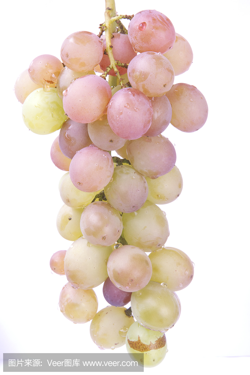 葡萄,鲜食葡萄,提子,酿红酒用葡萄