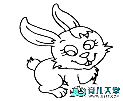 龟兔赛跑四格简笔画,简单小兔子画法_动物简笔-108kb
