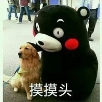 有趣的熊本熊表情包带字 单身狗日常表情包(6-9kb图片