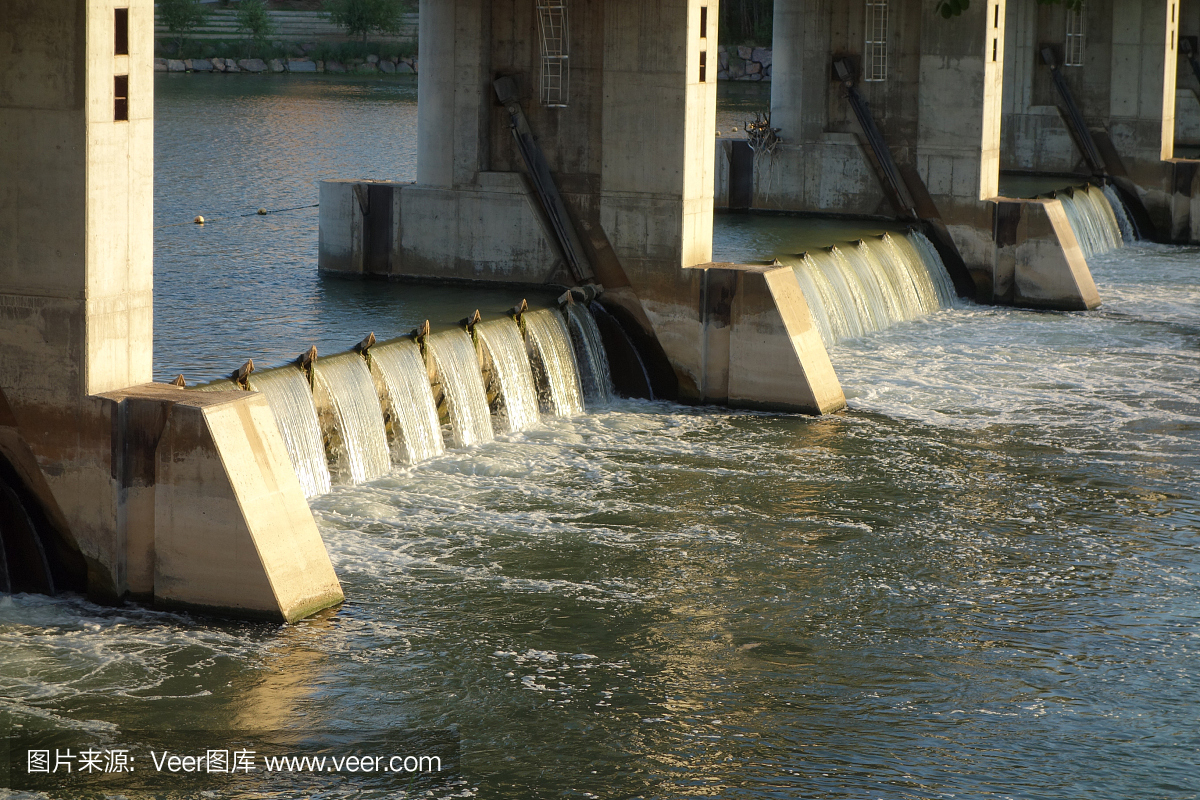在一些树后面的埃布罗河上部的萨拉戈萨,一艘