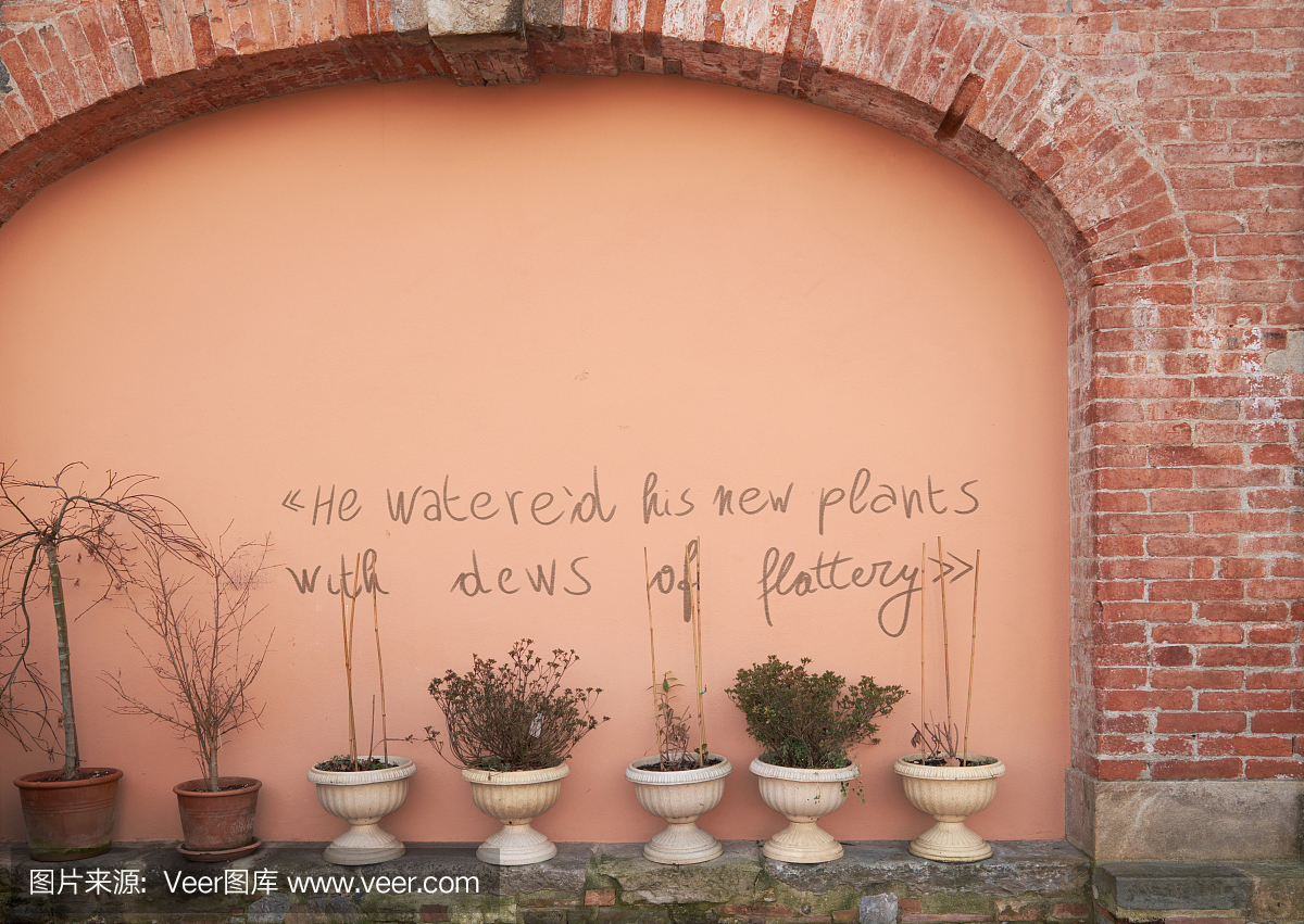 短语,英语,单词,花盆