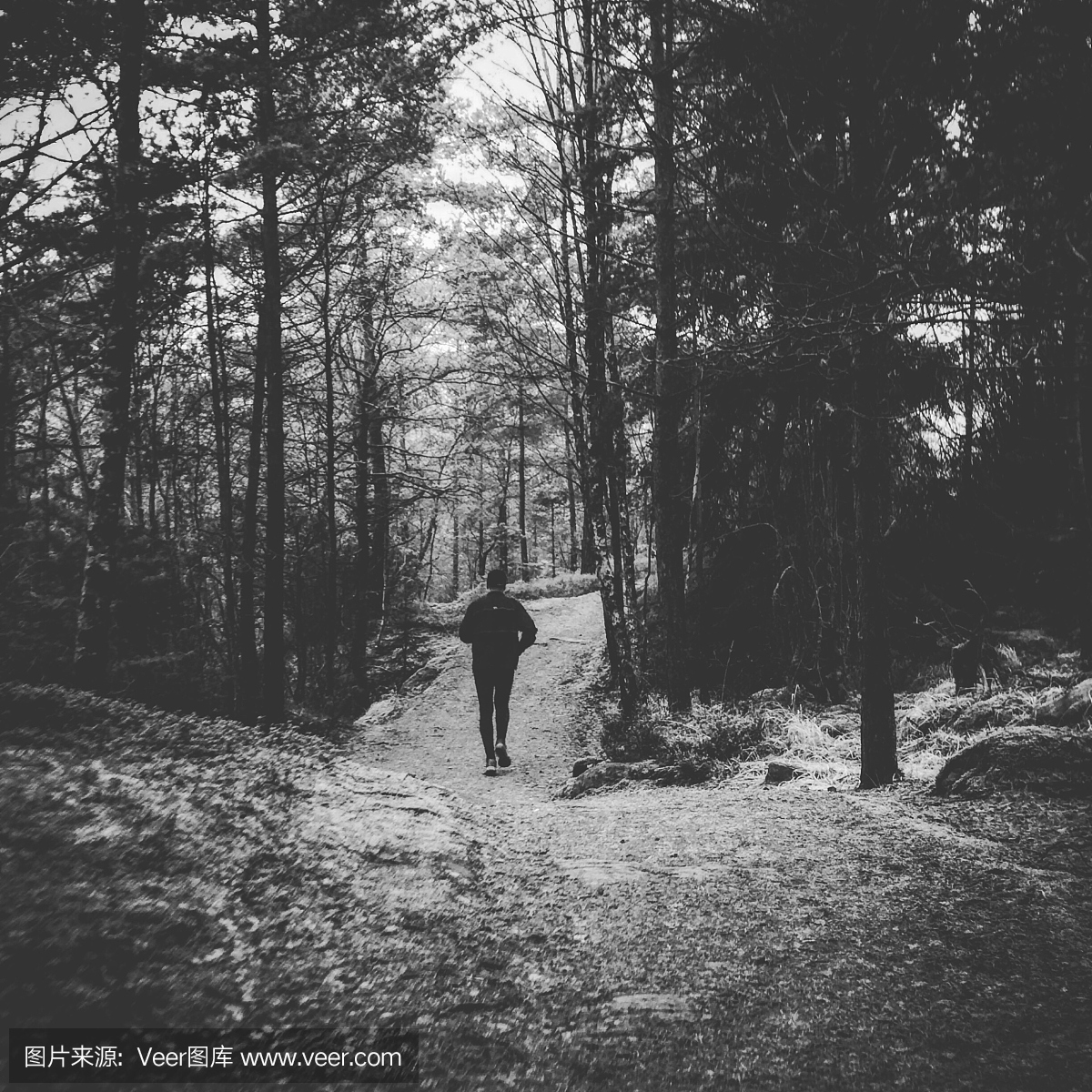 走在路的人背面图在森林里