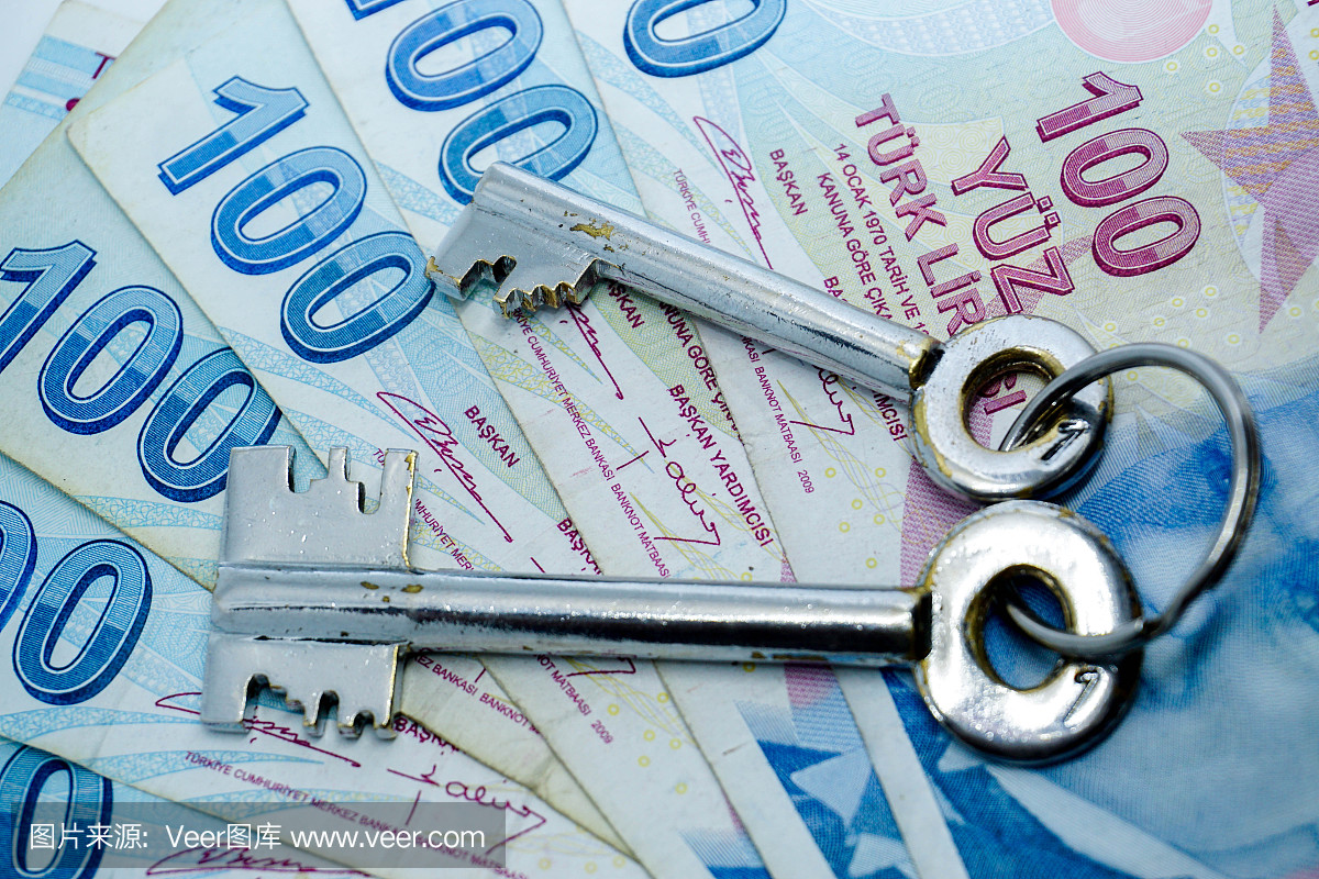 土耳其一百里拉钞票上的安全密钥特写视图