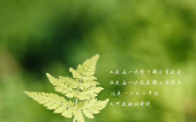 精选每日心语非主流唯美风景伤感文字语录高清-799kb