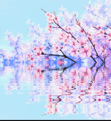 电脑樱花动态壁纸