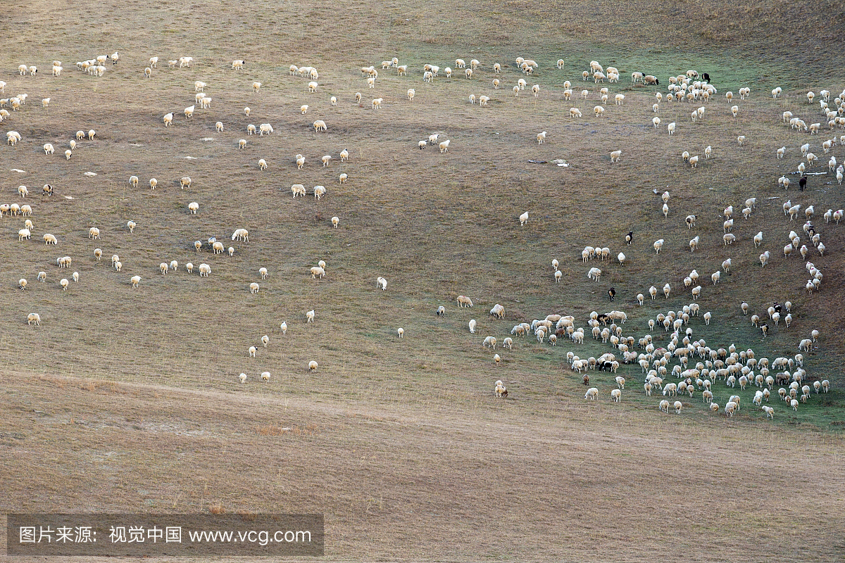 内蒙古克什克腾旗牧场