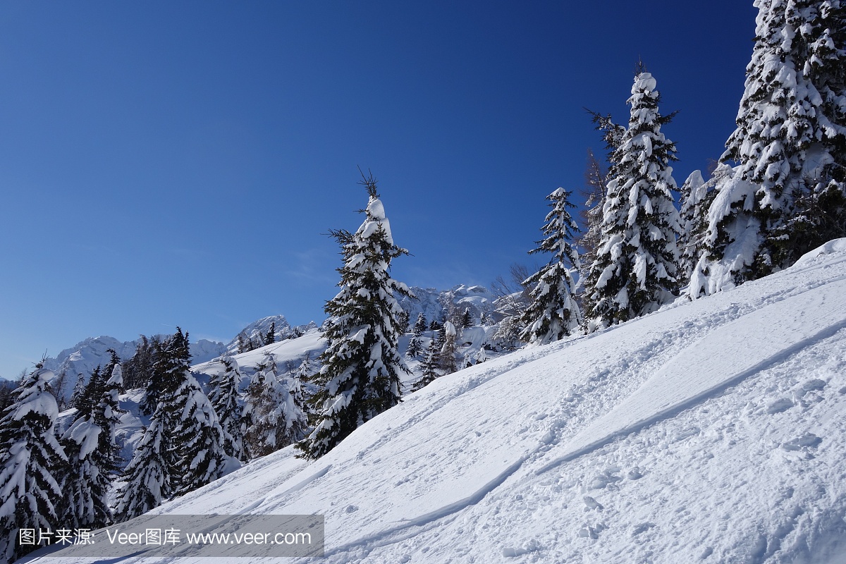 阿尔卑斯山Dolomiti意大利冬季时间