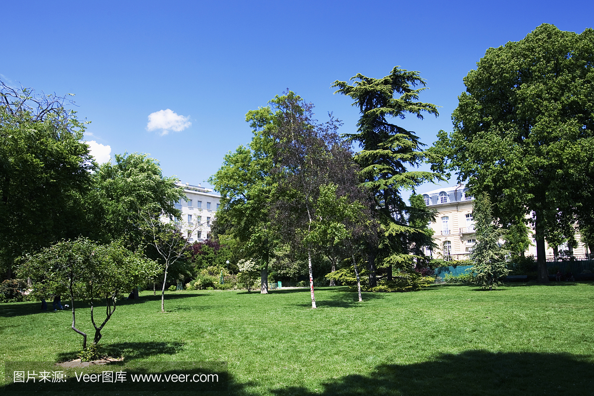 布洛涅森林,布劳涅森林,滨海市洛涅,天空