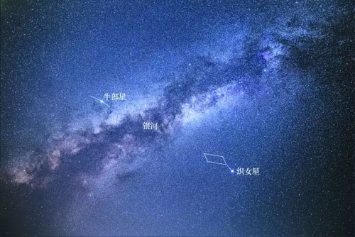 牛郎星和织女星的特点