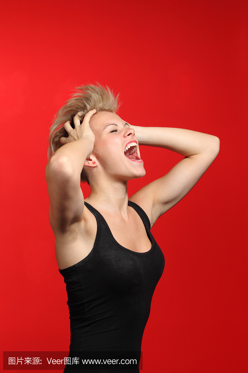 嚎叫,咆哮的,吠的,吠叫