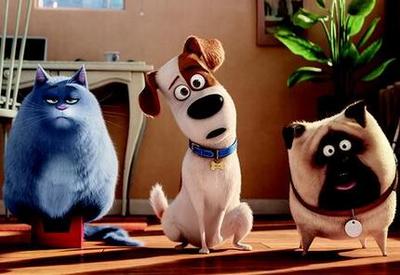 电脑壁纸萌宠大作战