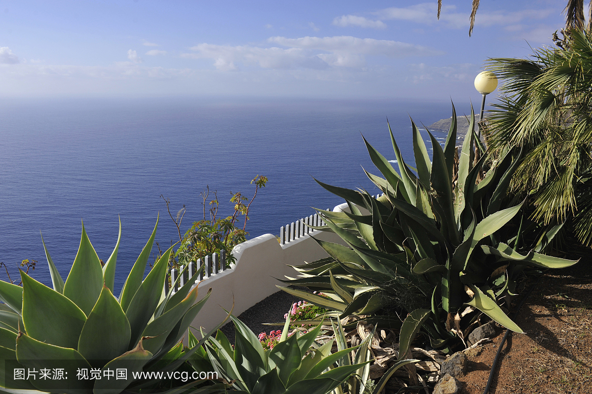 从海拔高的公园的海景,El Sauzal,特内里费岛,加