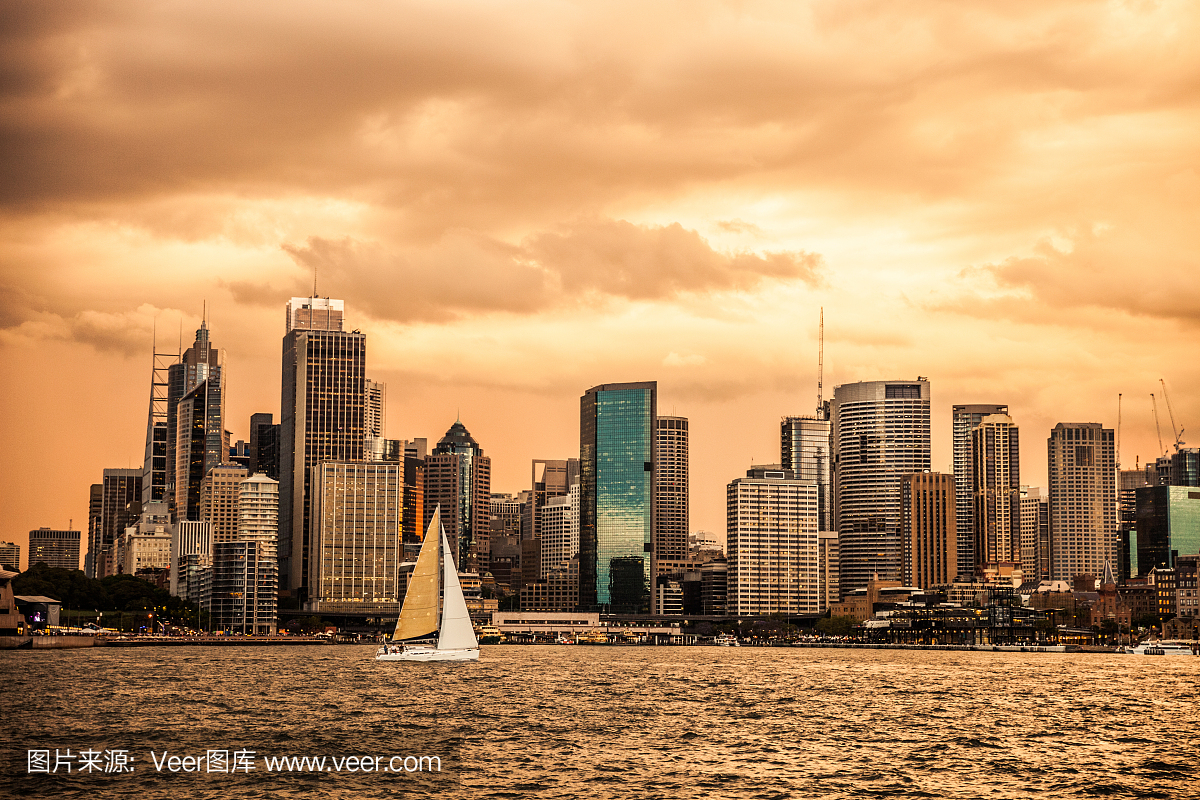 悉尼市区和港湾的城市景观