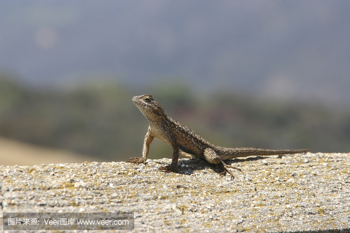 燃点标志,防火线标志,燃点标示,燃点记号
