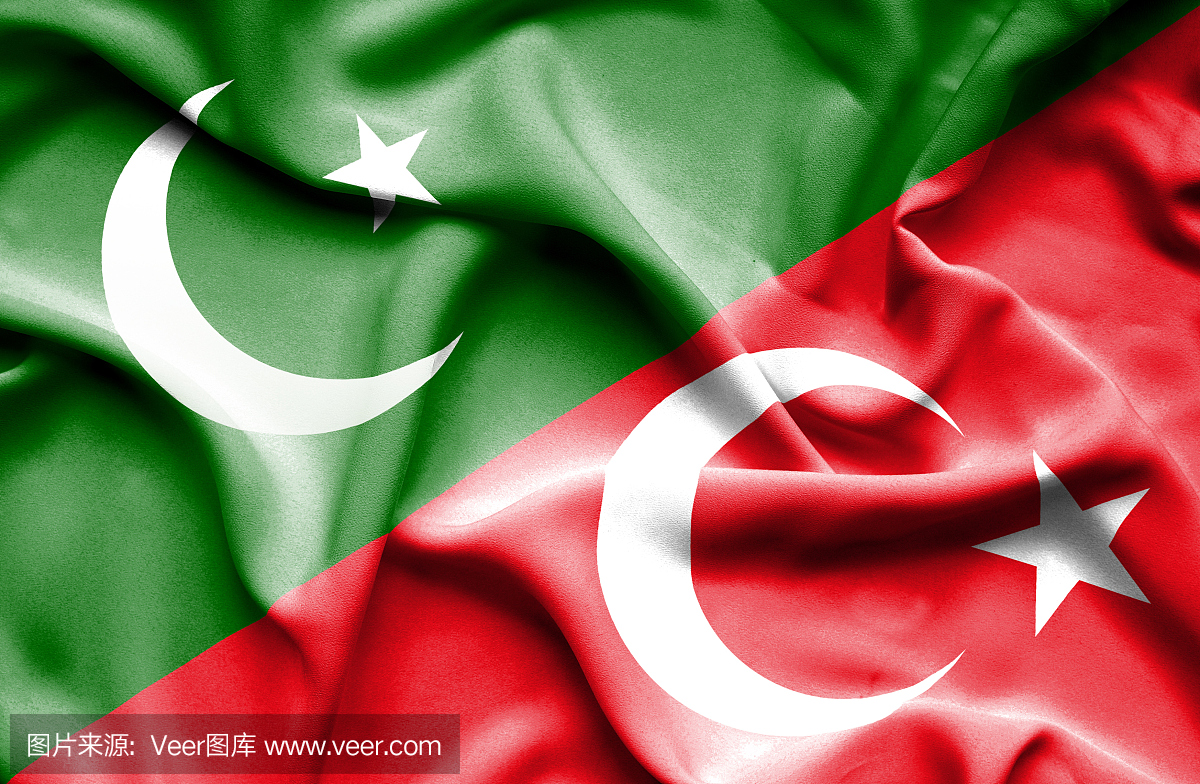 挥挥旗土耳其和巴基斯坦