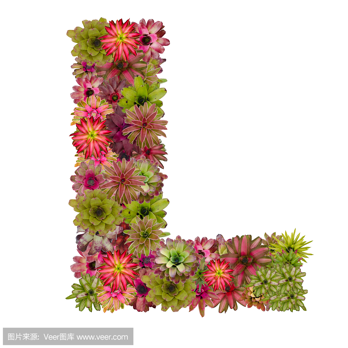 短笛,笛子,英文字母L,英文字母l