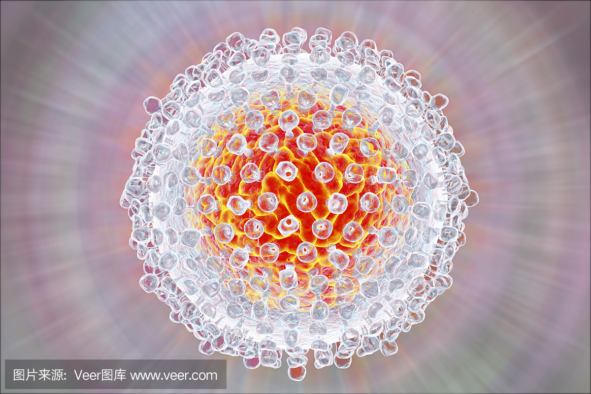 型肝炎,丙型肝炎病毒颗粒,丙型肝炎病毒RNA,丙