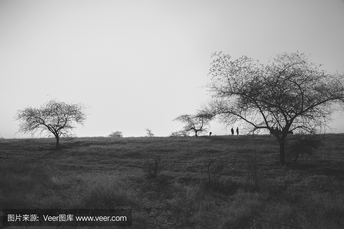 拉森伯恩国家公园,伦滕波尔国家公园,英文字母