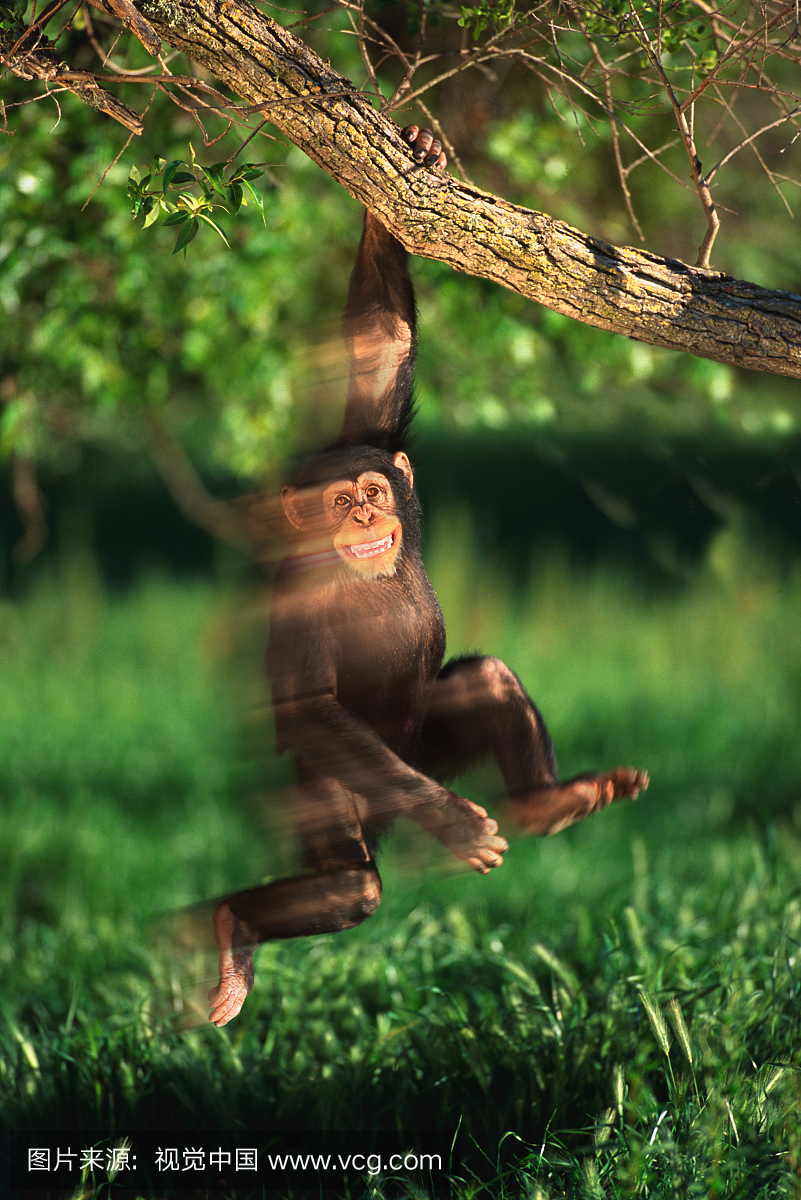 幽默,有意思,逗趣,笑话