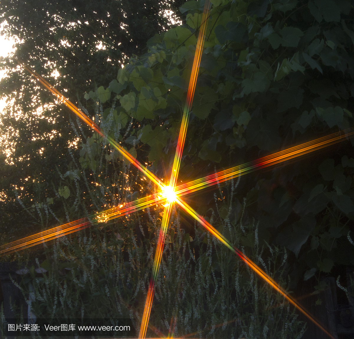 折射,极化,偏振,光折射