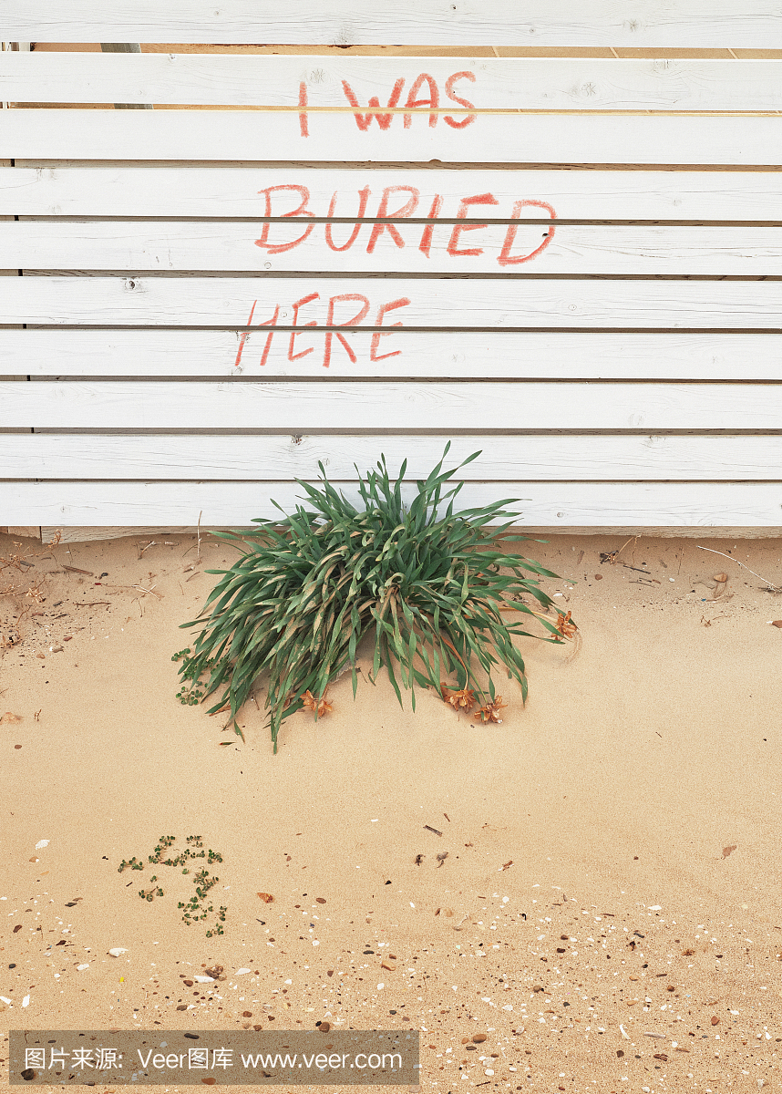 短语,英语,安静,灵感