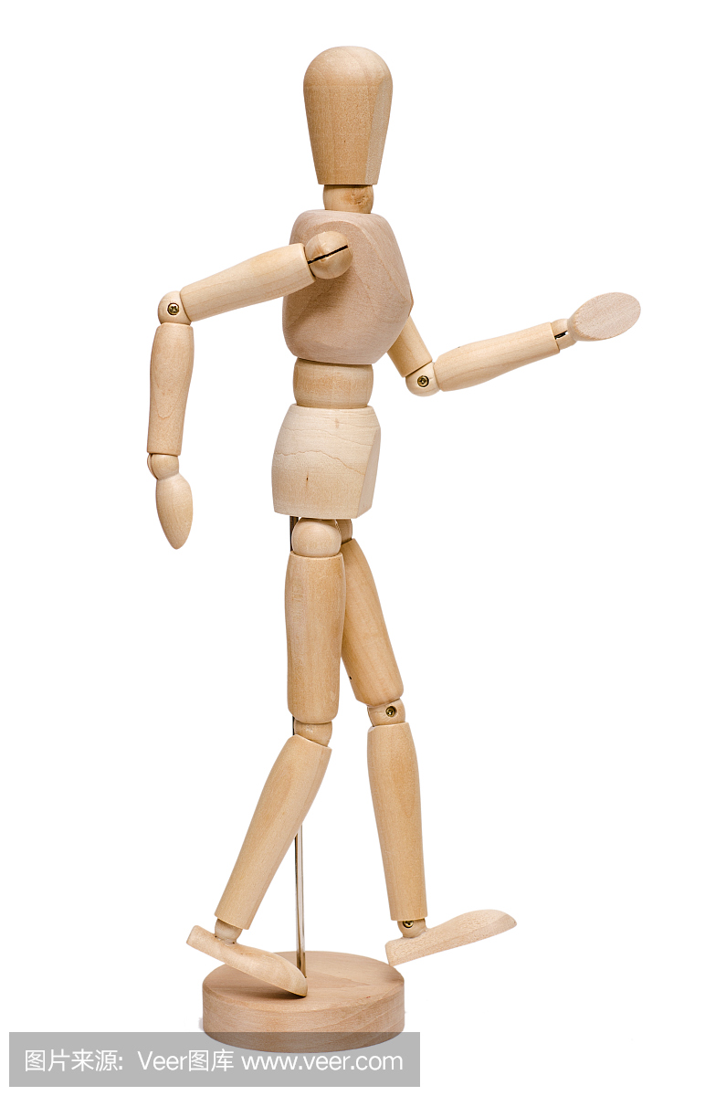 解剖模型,人体结构,解剖结构,解剖图