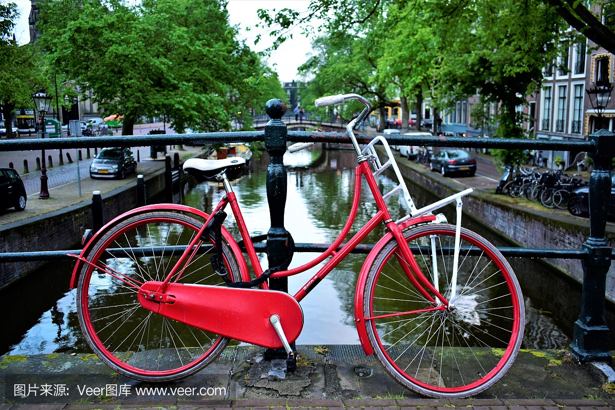 城市生活,荷兰文化,著名景点,自行车