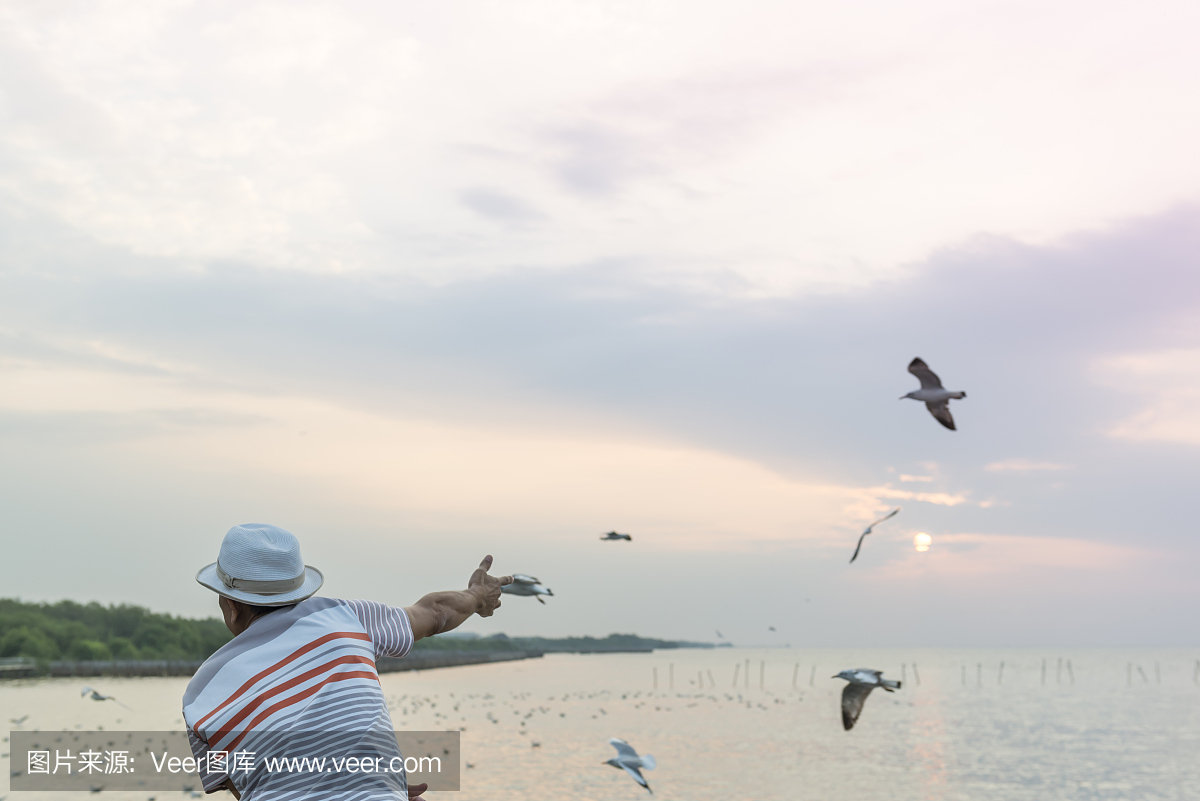 喜欢玩海鸥的人。