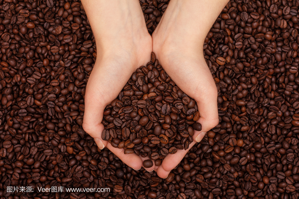 咖啡豆在妇女的手上咖啡豆背景