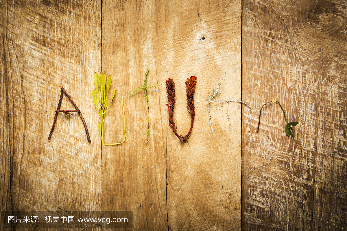 秋天,叶子,单词,文字