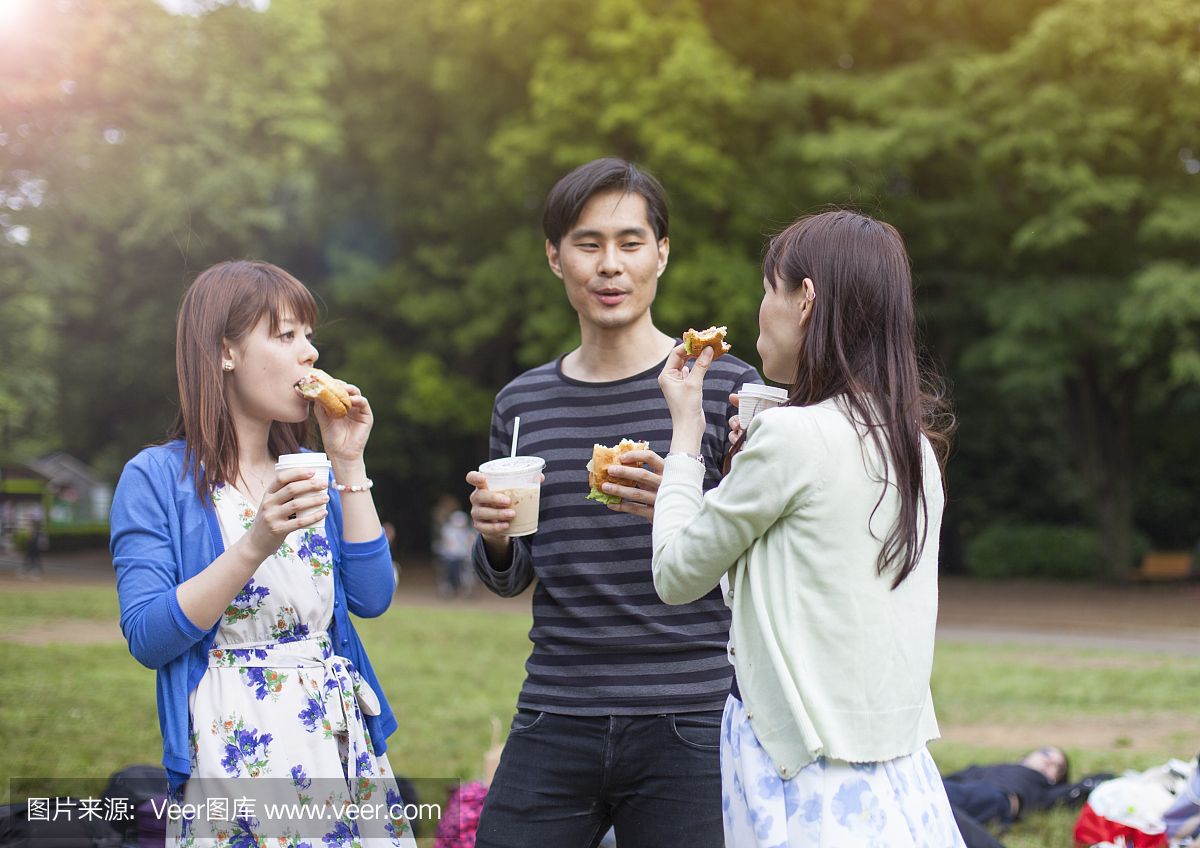 日本朋友的快乐团体在东京的公园里吃东西