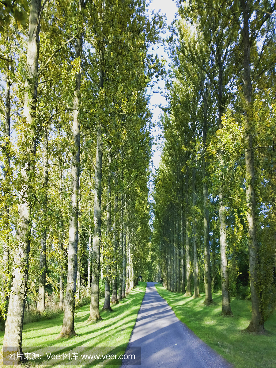 道路路车道土路农村景观景观沃里克郡英语米德