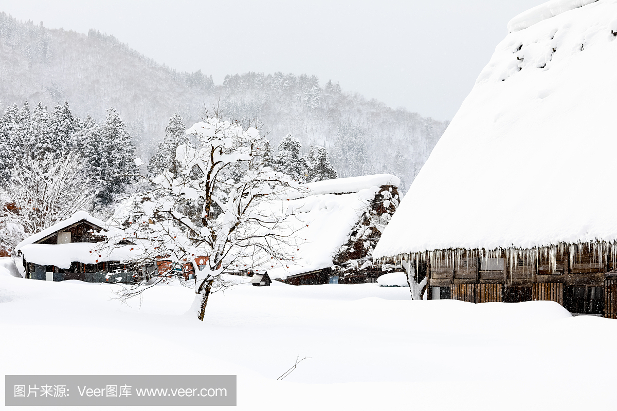 日本屋顶上的雪