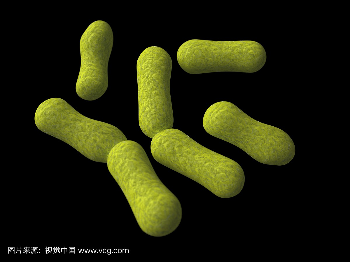 痤疮丙酸杆菌,艺术品