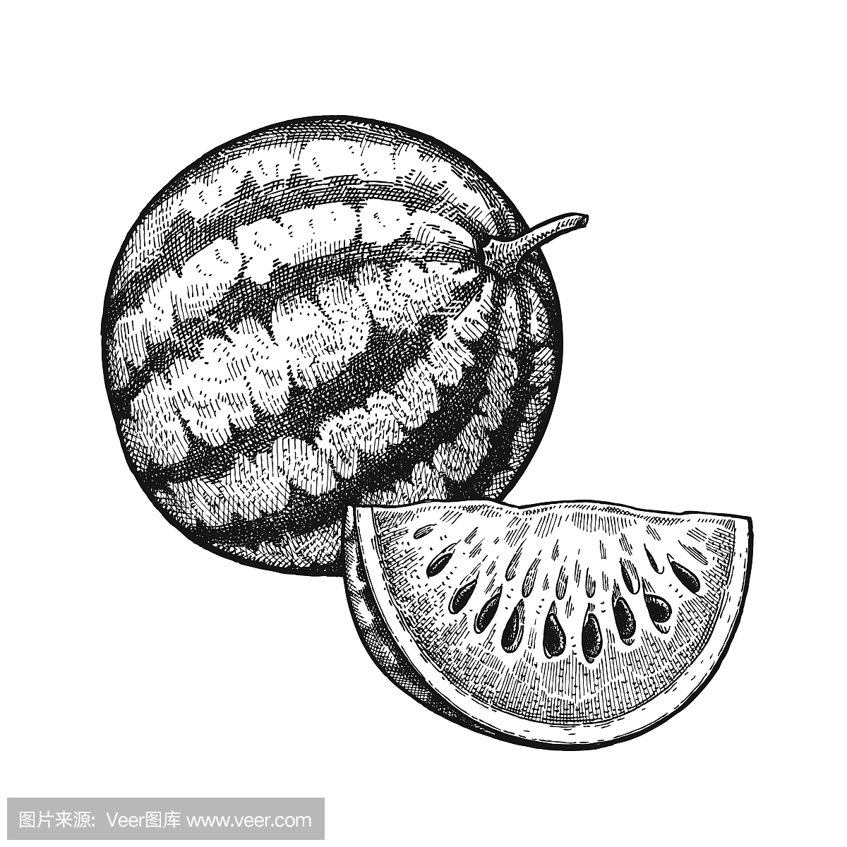 厨房辩论,辩论,西瓜,无核西瓜