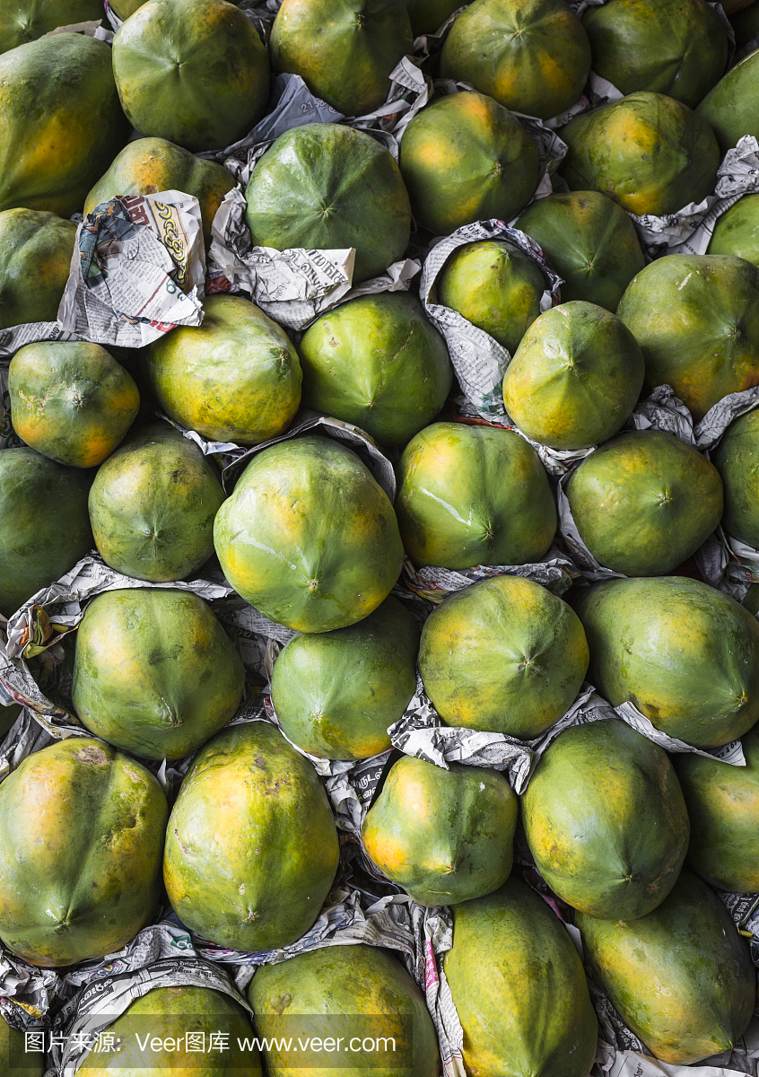 木瓜树,万寿果树,巴婆果树,英文字母C