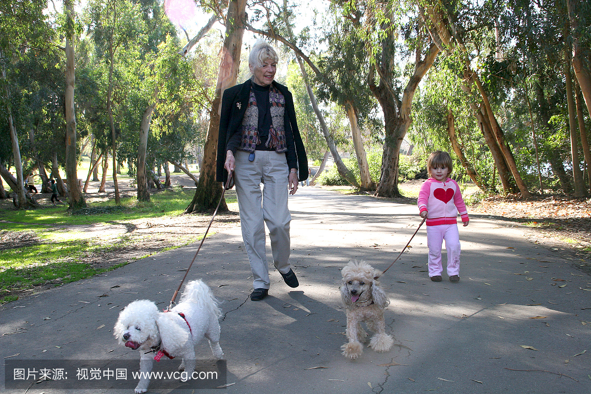与奶奶和女孩的步行狗