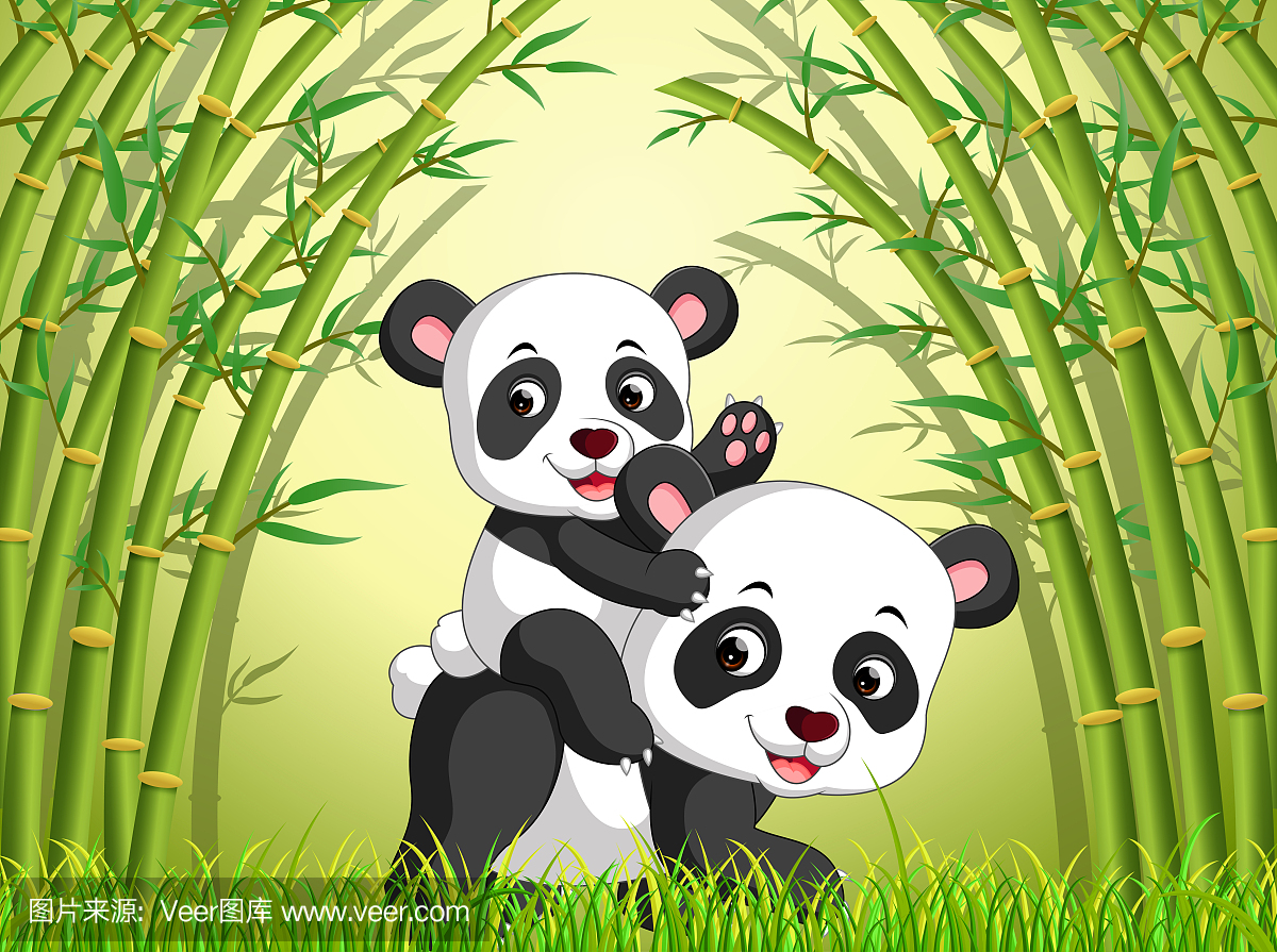 两个可爱的熊猫在一片竹林中