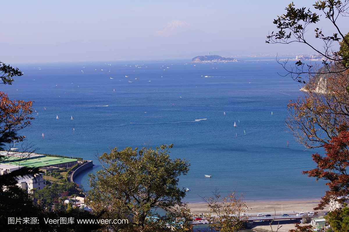 富士山,日本富士山,摄影,公园