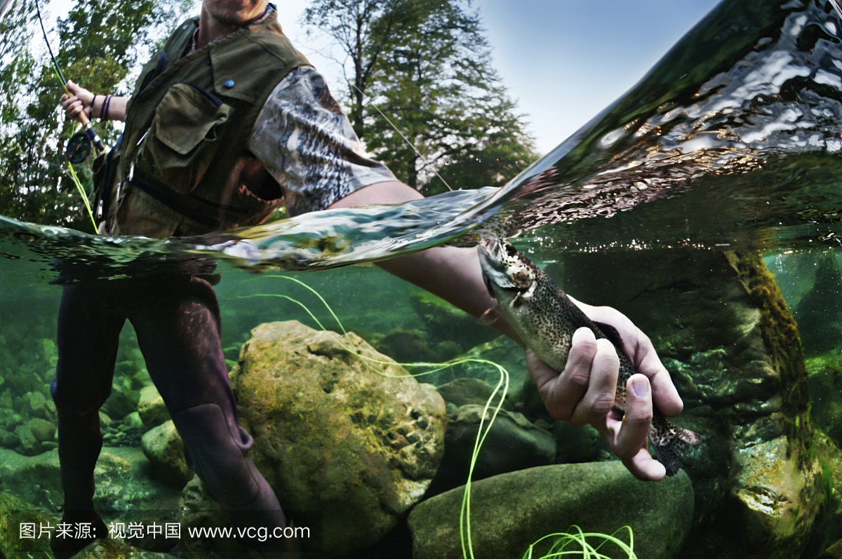 钓鱼,钓鱼的,消遣性钓鱼,钓