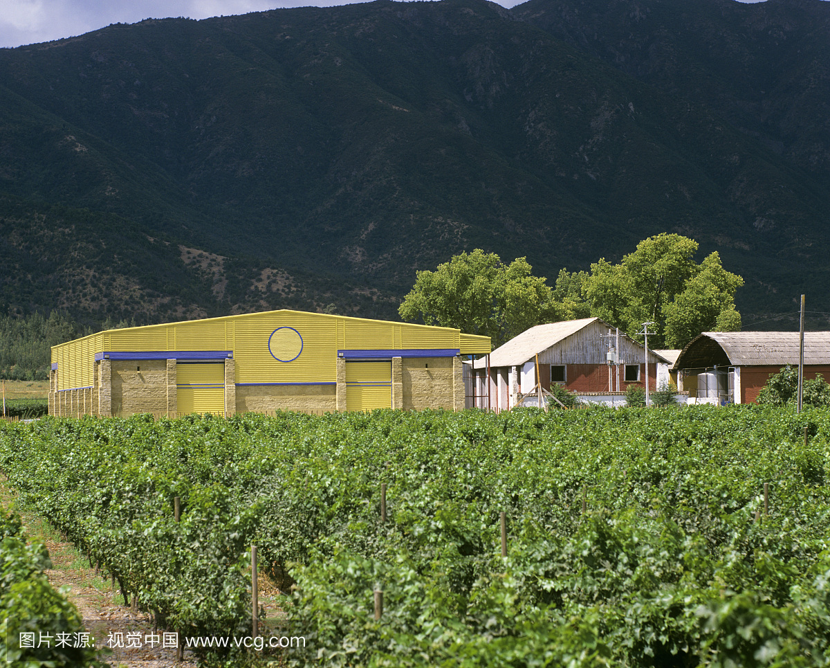 Vina La Rosa, Peumo, Rapel Valley, Chile